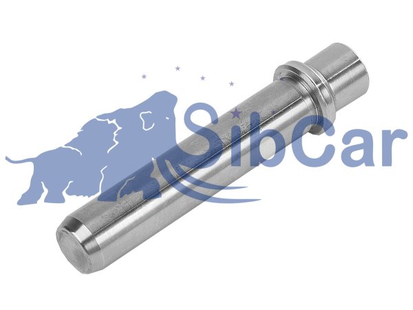 Шток поршня насоса DF 25-D101